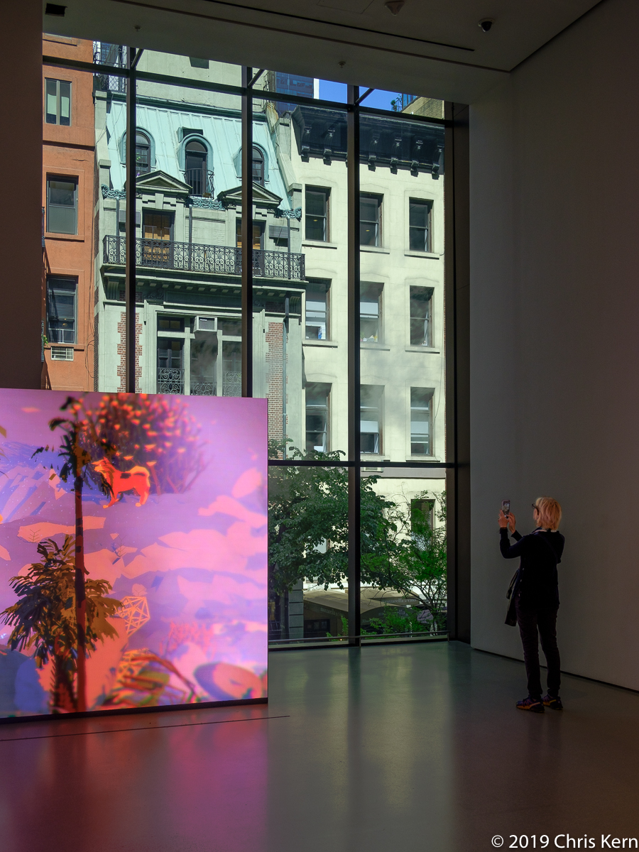 Art Occludes Life, Museum of Modern Art, New York, New York, USA (2019)